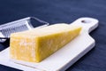 Parmesan cheese Royalty Free Stock Photo