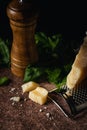 Parmesan cheese slice with grater and basil Royalty Free Stock Photo
