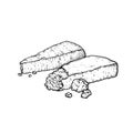 Parmesan Parmegiano cheese. Hand drawn sketch style drawing of traditional Italian hard cheese. Vector illustration Royalty Free Stock Photo