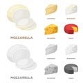 Parmesan, roquefort, maasdam, gauda.Different types of cheese set collection icons in cartoon,monochrome style vector Royalty Free Stock Photo