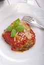 parmigiana eggplant on dish