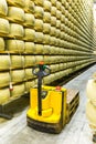 Parmigiano Cheese factory production shelves with aging cheese i