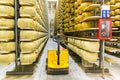Parmigiano Cheese factory production shelves with aging cheese i