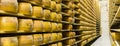 Parmigiano Cheese factory production shelves with aging cheese i