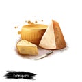 Parmigiano cheese with knife digital art illustration isolated on white background. Fresh dairy product, healthy organic Royalty Free Stock Photo