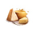 Parmigiano cheese with knife digital art illustration isolated on white background. Fresh dairy product, healthy organic Royalty Free Stock Photo