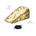 Parmigiano reggiano cheese drawing. Vector hand drawn food sketch. Triangle slice of parmesan.