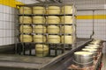 Parmigiano Reggiano cheese, a typical italian dairy product, phases of the processing