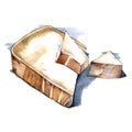 Parmigiano Reggiano italian cheese watercolor illustration