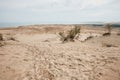 Parnidis Dune in Nida, Lituania Royalty Free Stock Photo