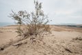 Parnidis Dune in Nida, Lituania Royalty Free Stock Photo