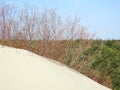 Parnidis dunes in Neringa, Lithuania