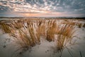 Parnidis sand dune in sunset. Curonian spit, Nida city, Lithuania