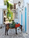 Paros island streets Royalty Free Stock Photo
