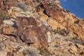 Parowan Gap Petroglyphs Royalty Free Stock Photo