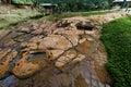 Parque Archologico in San Agustin, Colombia