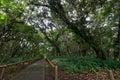 Parque Arqueologico San Agustin, Colombia Royalty Free Stock Photo