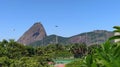 Parque Aterro do Flamengo, Rio de Janeiro Royalty Free Stock Photo