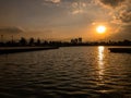 Sunset at Parque Bicentenario lake