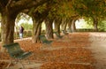 Parque da Alameda - Santiago de Compostela