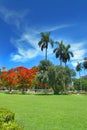Parque de la Fraternidad in Havana Royalty Free Stock Photo