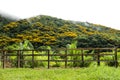 Parque escologico, ÃÂ¡rea de preservaÃÂ§ÃÂ£o