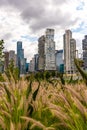 Parque la Mexicana - Mexico City