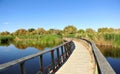 Parque Nacional de las Tablas de Daimiel, provincia de Ciudad Real, Castilla la Mancha, EspaÃÂ±a