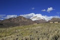 Parque National Sajama Bolivia Royalty Free Stock Photo
