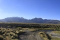 Parque National Sajama Bolivia Royalty Free Stock Photo