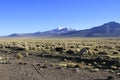 Parque National Sajama Bolivia Royalty Free Stock Photo