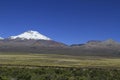 Parque National Sajama Bolivia Royalty Free Stock Photo