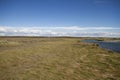 Parque Pinguino Rey - King Penguin park on Tierra del fueg Royalty Free Stock Photo