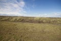 Parque Pinguino Rey - King Penguin park on Tierra del fueg Royalty Free Stock Photo