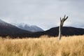 Parque Tierra del Fuego