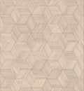 Parquet rhombus hexagon repeating