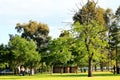 Parramatta Park @ Sydney Royalty Free Stock Photo