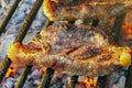 Parrilla Argentina, traditional barbecue made with straight from the wood