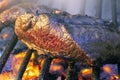 Parrilla Argentina, traditional barbecue made with straight from the wood