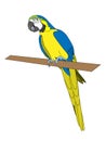 Parrot