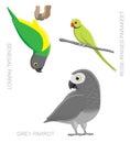 Parrot African Cartoon