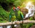 Parrot against tropical waterfall background Royalty Free Stock Photo