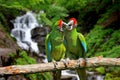 Parrot against tropical waterfall background Royalty Free Stock Photo