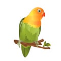 Parrot Agapornis lovebird tropical bird standing on a branch on a white background vector illustration editable