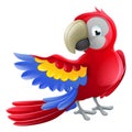 Parrot Animal Cartoon Character