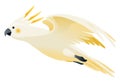 Parrot animation. Exotic adorable fauna character flight. White sulphur crested cockatoo. Animated tropical bird flying Royalty Free Stock Photo