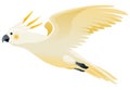 Parrot animation. Exotic adorable fauna character flight. White sulphur crested cockatoo. Animated tropical bird flying