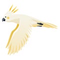 Parrot animation. Exotic adorable fauna character flight. White sulphur crested cockatoo. Animated tropical bird flying Royalty Free Stock Photo
