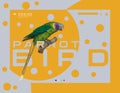 Parrot Ara Macaw vector popular modern realistic icon