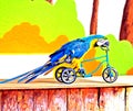 Parrot on the bike